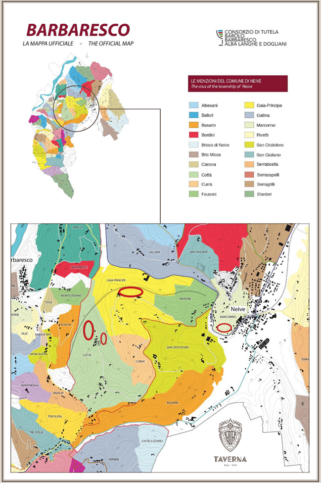 Barbaresco vineyard map