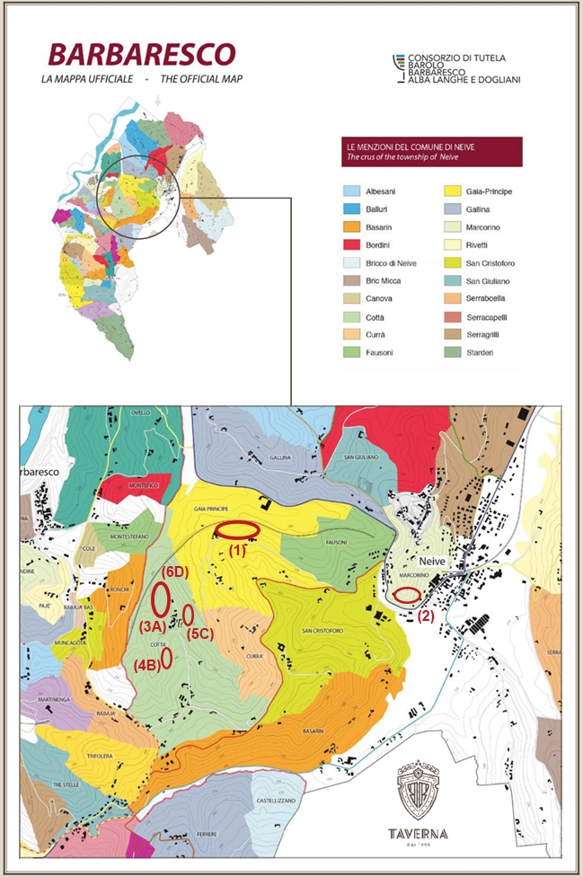 Taverna Barbaresco vineyard map
